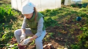 НАШ УРОЖАЙ СЪЕЛИ, НО МЫ НЕ УНЫВАЕМ! ХОРОШО ПОРАБОТАЛИ - ХОРОШО ОТДОХНУЛИ | ДЕРЕВНЯ | ЛЕС | РЕКА