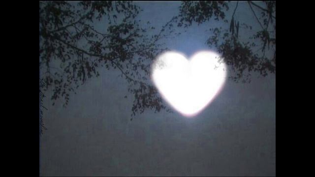 вайбовые ночные песни//ночная атмосфера//ночной вайб//музыка для души