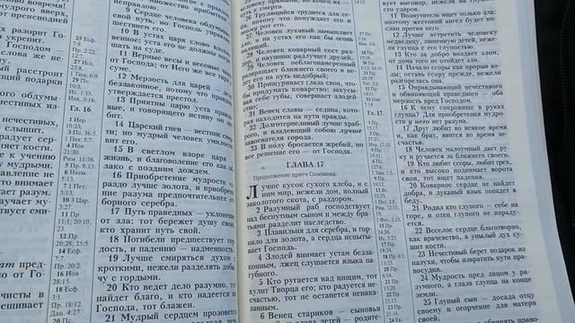 Мир и покой в сердце 8 Притч 17 глава смотреть онлайн