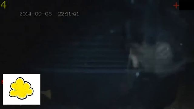 Отхватили по щам! Жесть на улице! смотреть онлайн