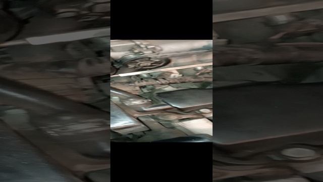 1000018288.mp4 смотреть онлайн