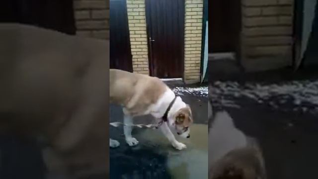 Муна, первый привет