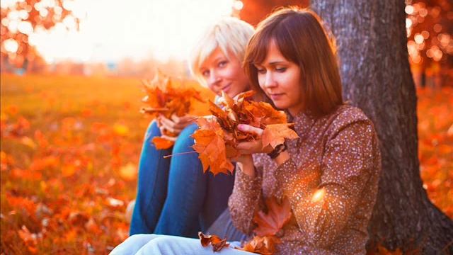 "Влажные Ватрушки". Эфир за 06.11.11 Часть 2 смотреть онлайн