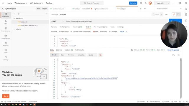 Создание запросов в Postman на основе тест-кейсов по API смотреть онлайн