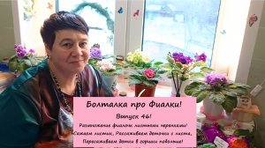 Болталка про Фиалки Выпуск 46 Размножение фиалочек листьями черенками!