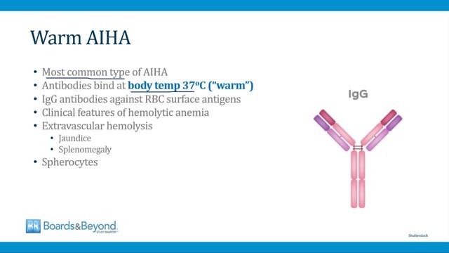 5.Extrinsic Hemolysis смотреть онлайн