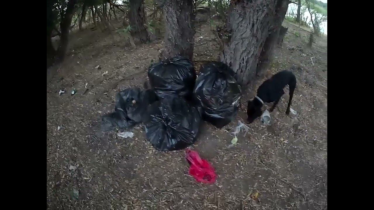 А кто же за вами должен убирать мусор? 13.08.2024 смотреть онлайн