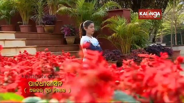 Yogasutra(ଯୋଗ-ସୂତ୍ର) || Ayushi || Episode 39 || Kalinga TV смотреть онлайн