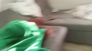 ОБЗОР НА ДОМАШНЕГО СНЮСОЕДА