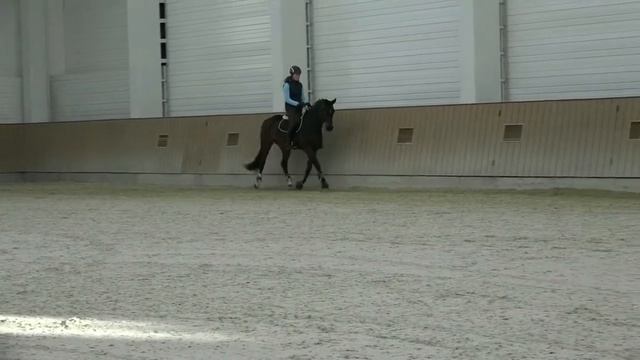 Belina смотреть онлайн