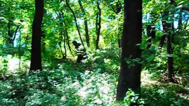 Колумбия Охота на снайпера Ясиноватая смотреть онлайн