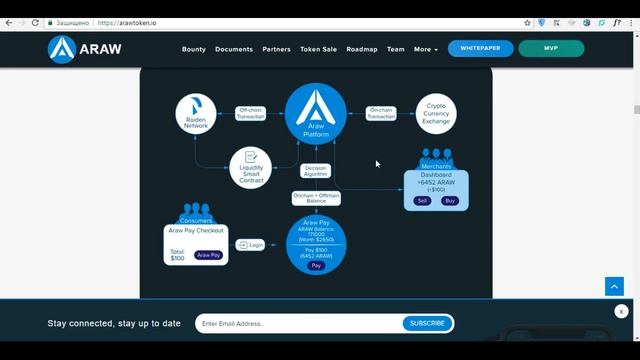 ARAW обзор ICO | уникальный сервис для быстрых и безопасных платежей