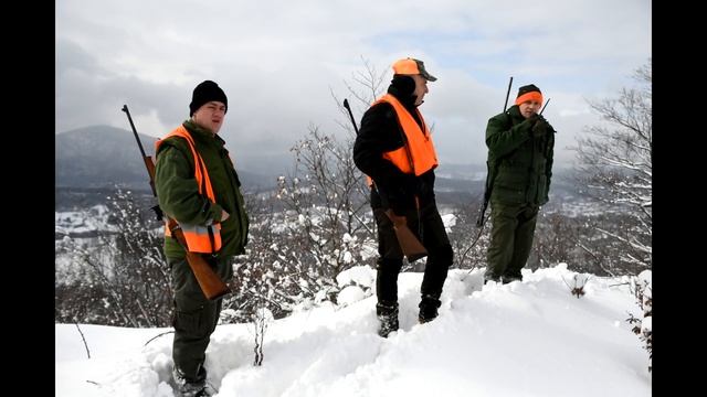 Hajka na vuka Šekovići 05.02.2023. смотреть онлайн