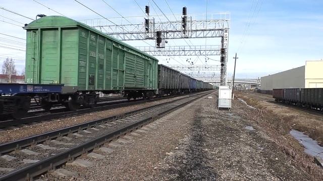 Электровоз ВЛ11М-293 (ТЧЭ-1) с грузовым поездом. смотреть онлайн
