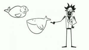 Прыжки в кипяток! Вечно жить или свариться заживо! ( Анимация | Доктор Гнус )