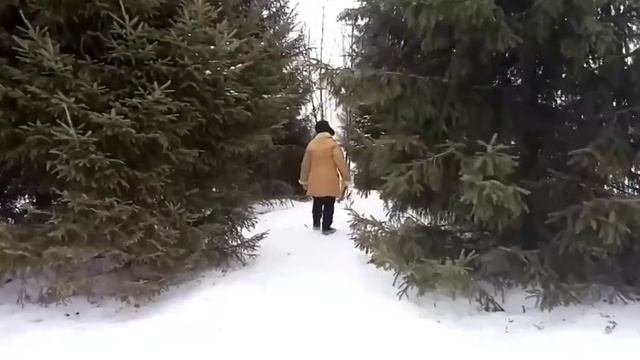 Новогоднее приключение (480p).mp4 смотреть онлайн