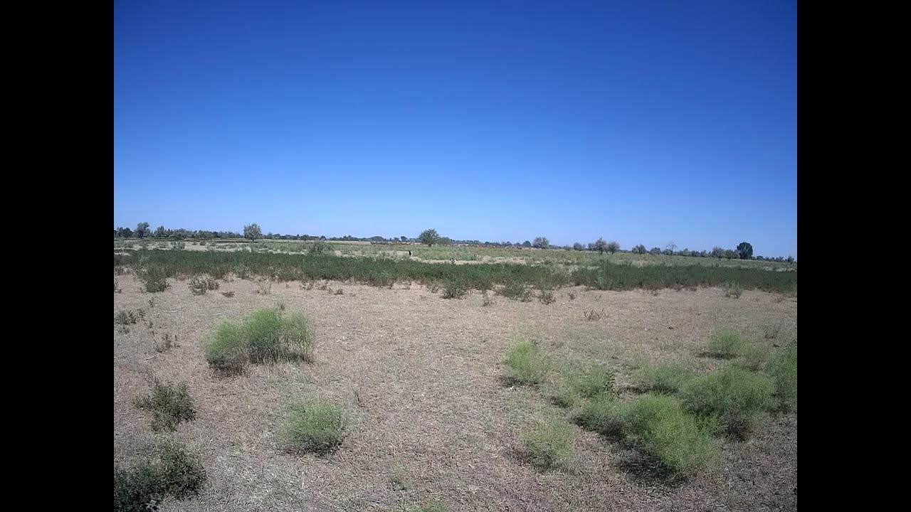 13.07.2024 ЧТО ДЕЛАТЬ? : ЛПХ В ОПАСНОСТИ смотреть онлайн