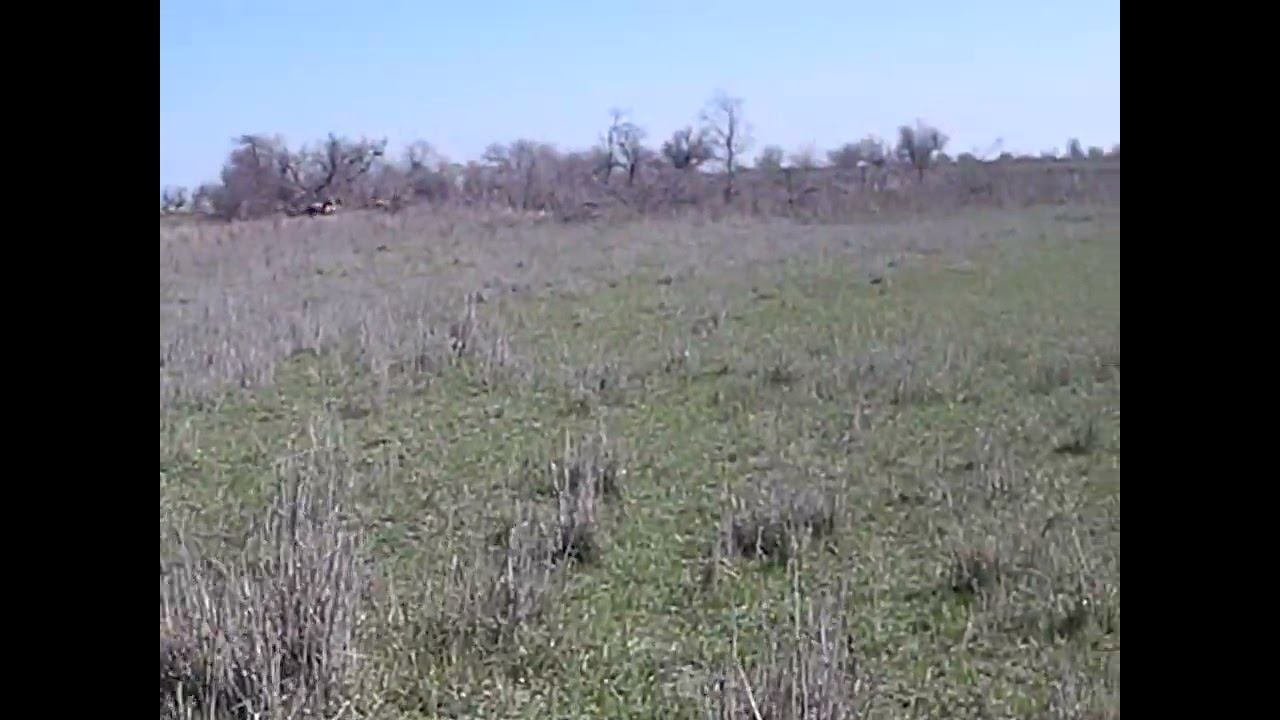 07.04.2024 ЧТО ДЕЛАТЬ? : ЛПХ В ОПАСНОСТИ смотреть онлайн