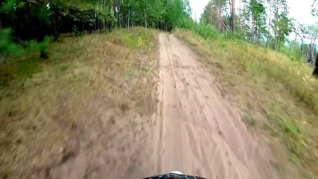 GoPro: Белка. Испугал животинку. смотреть онлайн