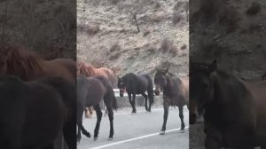 вот и старость пришла