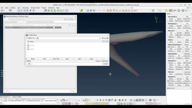 ANSA For Aerospace CFD Meshing