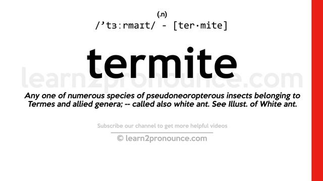 Pronunciation of Termite | Definition of Termite смотреть онлайн