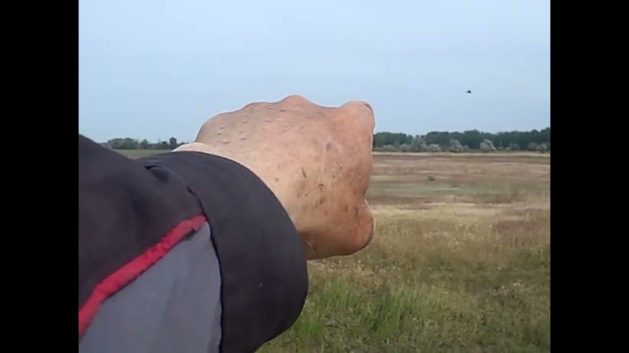 08.05.2024 ЧТО ДЕЛАТЬ? : ЛПХ В ОПАСНОСТИ смотреть онлайн