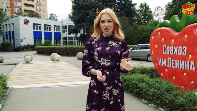 «Какая-то бывшая жена»? смотреть онлайн