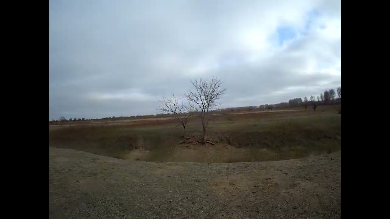 5.12.2024 ЧТО ДЕЛАТЬ? : ЛПХ В ОПАСНОСТИ смотреть онлайн