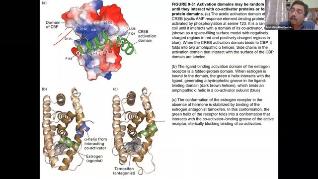 CMB Lecture 19 смотреть онлайн
