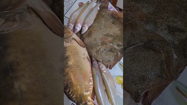 Сегодня рыбный день! .. смотреть онлайн