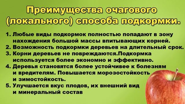 ЛУЧШИЙ СПОСОБ ПОДКОРМКИ ВЗРОСЛЫХ САДОВЫХ ДЕРЕВЬЕВ смотреть онлайн