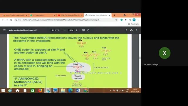 XIIBIO CH4 MBI PROTEIN SYNTHESIS-TRANSLATION смотреть онлайн