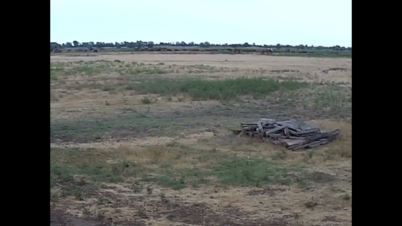 21.06.2024 ЧТО ДЕЛАТЬ? : ЛПХ В ОПАСНОСТИ смотреть онлайн