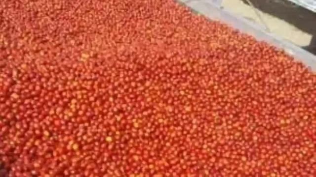 How to prepare brewed coffee #organic #Quality #In Ethiopia #yrga chaffee смотреть онлайн