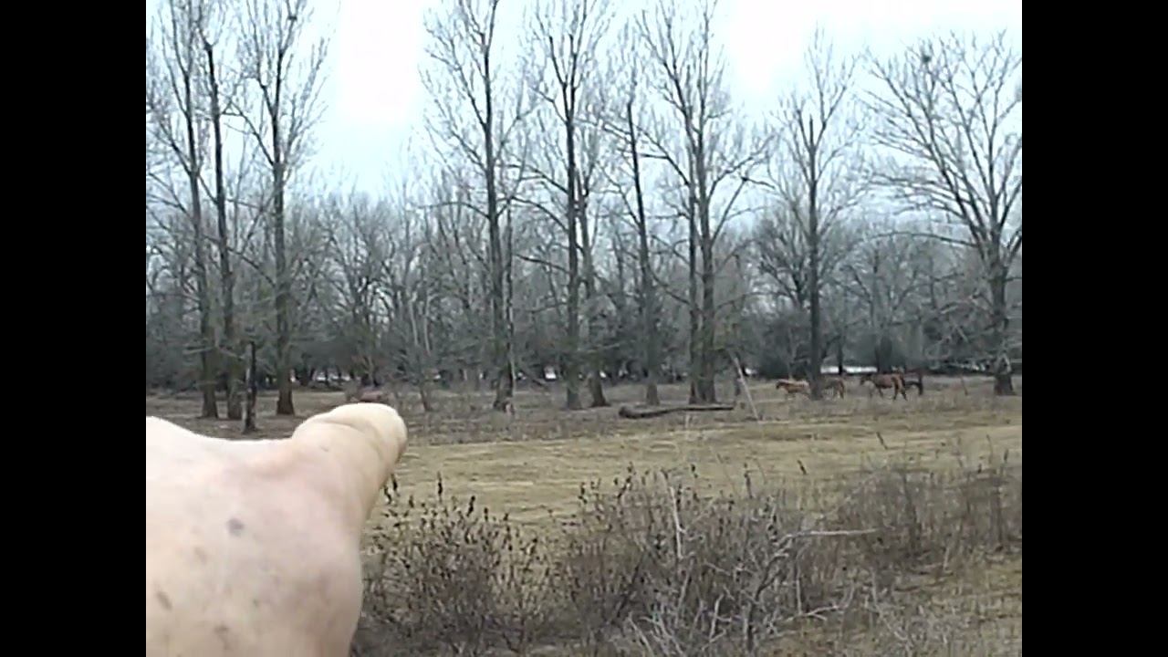 18.03.2024 ЧТО ДЕЛАТЬ? : ЛПХ В ОПАСНОСТИ смотреть онлайн