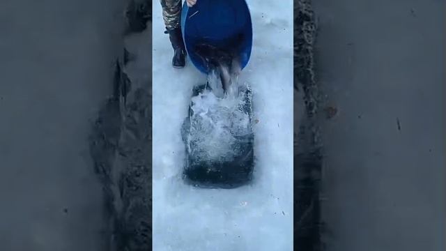 запуск форели смотреть онлайн