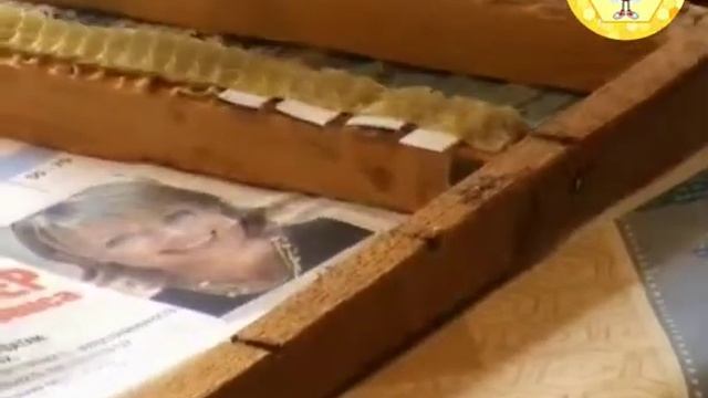 Мисочки на пластике смотреть онлайн