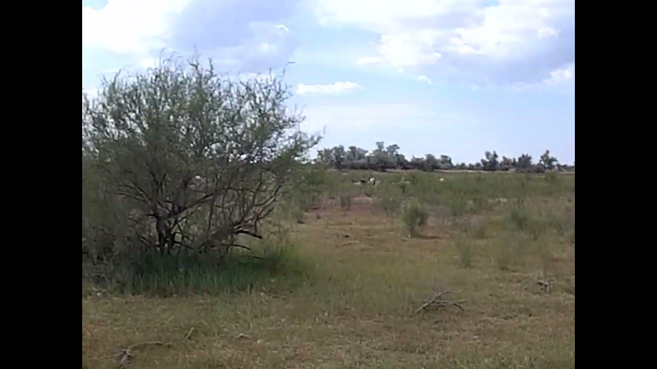 17.05.2024 ЧТО ДЕЛАТЬ? : ЛПХ В ОПАСНОСТИ смотреть онлайн