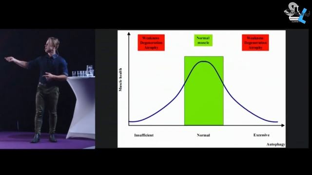 Balancing Autophagy And MTOR For Longevity - Biohacker Summit Tallinn 2018
