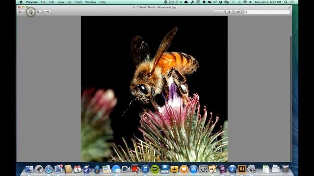 DES 103 Video 1: Raster vs. Vector Graphics 1 - Raster смотреть онлайн