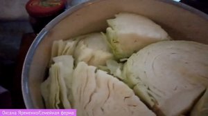 Заварная капуста. Очень вкусно и быстро!