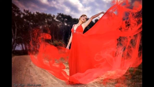 Tango Mango Música - [no copyright music coffee] - Melodias ❣️🎶 смотреть онлайн