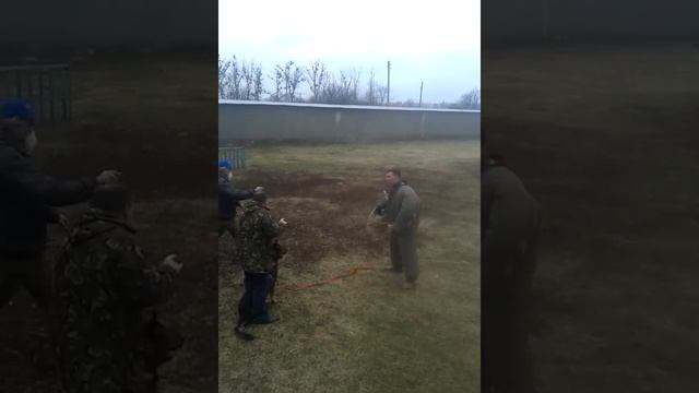 Дрессировочный центр г.Харьков. смотреть онлайн
