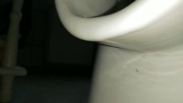 24 WC kompakt, wada fabryczna - cieknie. #wada #wc #kompakt #łazienka @Inzynier_Kris смотреть онлайн