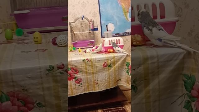 20 февраля 2023 г. смотреть онлайн