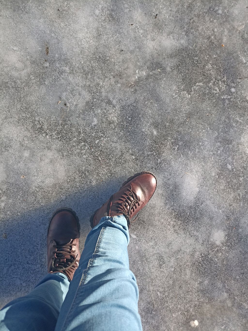 собираем портфель чеееееееек смотреть онлайн