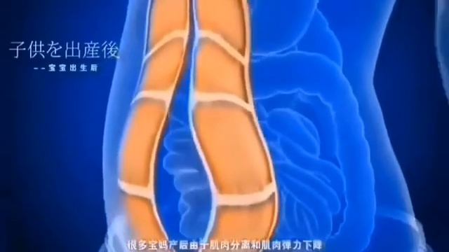 ⚡磁力瘦针对腹直肌分离症⚡ смотреть онлайн