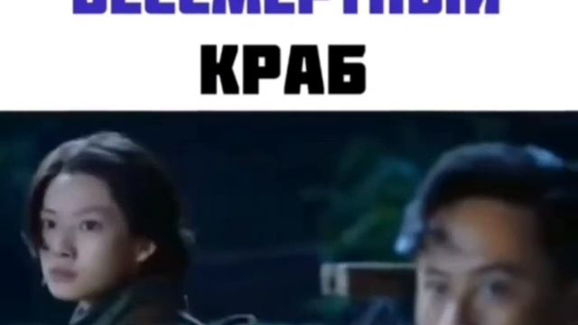 САМЫЙ СТРАШНЫЙ БЕССМЕРТНЫЙ КРАБ смотреть онлайн