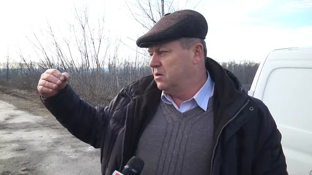 Садили одні - рубають інші смотреть онлайн